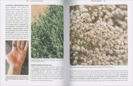 Giardini Sostenibili — Libro - 4