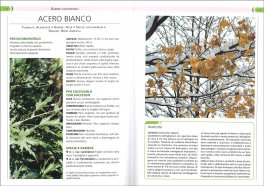 Giardino da Manuale — Libro - 3