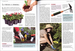 Giardino in Vaso — Libro - 3