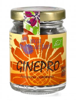 Ginepro - 1