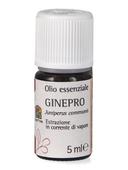 Ginepro - Olio Essenziale - 1