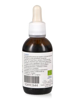 Ginkgo Biloba Bio - Estratto Idroalcolico - 2