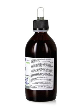 Ginkgo Biloba - Macerato di Pianta Fresca Bio - 2