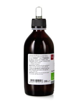 Ginkgo Biloba - Macerato di Pianta Fresca Bio - 3