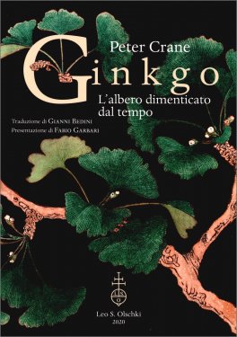 Ginkgo - L'Albero Dimenticato dal Tempo — Libro - 1