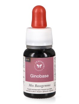 Ginobase - Mix Basegemmo - 2