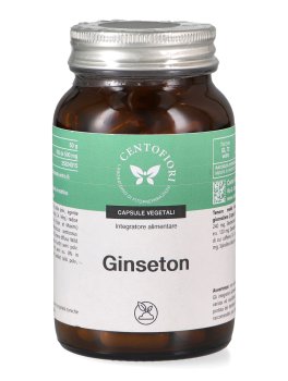 Ginseton - 1