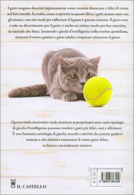 Gioca con Il Tuo Gatto — Libro - 2