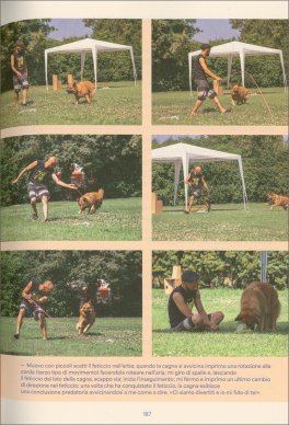 Giochiamo? — Libro - 4