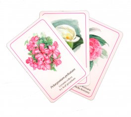 Gioco di Carte Flowers' Game - 3