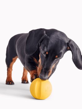 Gioco per Cani Palla in Gomma Naturale Beco Fetch Ball - 4