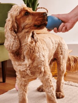 Gioco Portasnack per Cani in Gomma Naturale Beco - 4