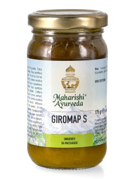 Giromap S - 1