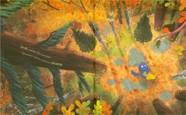 Gita nel Bosco — Libro - 4