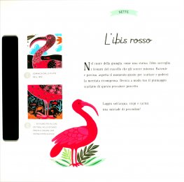 Giungla Perduta — Libro - 4