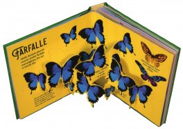 Giungla - Sorprendenti Pop Up — Libro - 3
