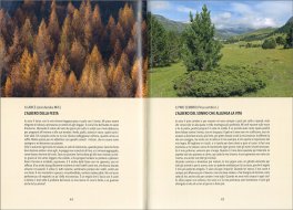 Gli Alberi delle Streghe — Libro - 4