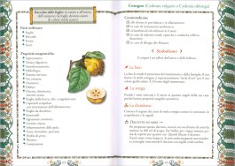 Gli Alberi e l’Erboristeria Magica — Libro - 3