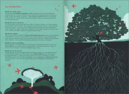 Gli Alberi e le loro Storie — Libro - 3