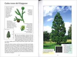 Gli Alberi Europei — Libro - 3