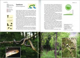 Gli Anfibi e Rettili delle  Alpi — Libro - 3