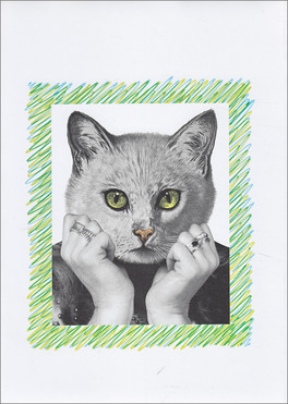 Gli Animali che noi Siamo — Libro - 2