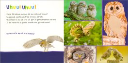 Gli Animali del Bosco — Libro - 3