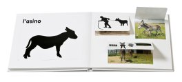 Gli Animali della Fattoria — Libro - 4