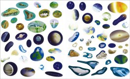 Gli Animali e i Loro Ambienti — Libro - 3