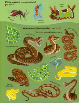 Gli Animali più Pericolosi della Terra — Libro - 4