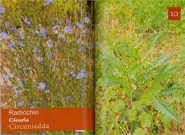 Gli Erbi Boni — Libro - 4