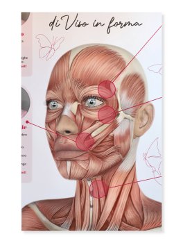 Gli Esercizi di Viso in Forma — Poster - 2