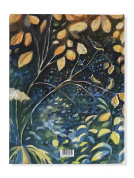 Gli Esploratori della Sera — Libro - 4