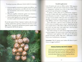 Gli Oli della Bibbia — Libro - 3