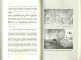 Gli Sciamani — Libro - 3