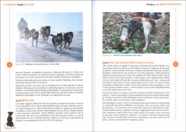 Gli Straordinari Talenti del tuo Cane — Libro - 3