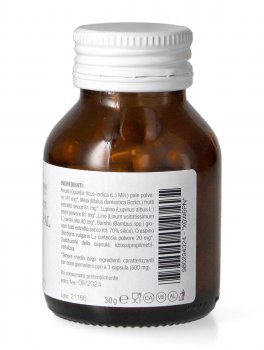 Glinopal - 2