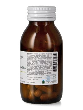 Glutalip-Gea - 2