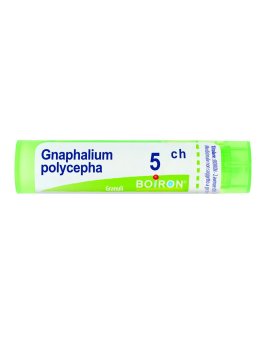 Gnaphalium Polycephalum 5CH Granuli Boiron - 1