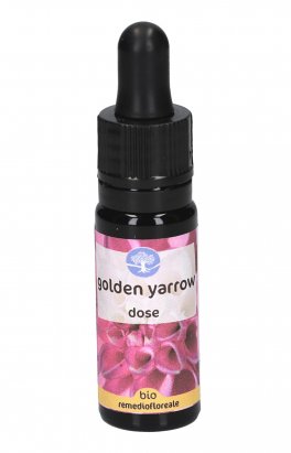 Golden Yarrow - Fiori Californiani - Dose - 1