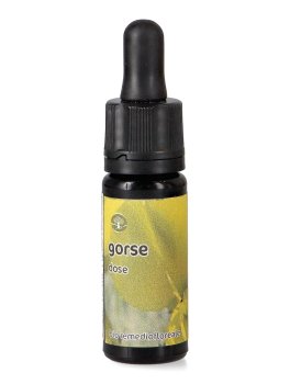 Gorse - Dose - 1