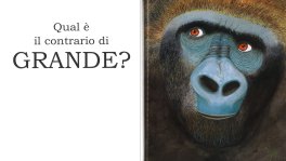 Grande Gorilla, Piccolo Gorilla — Libro - 3