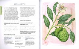 Grande Guida alla Aromaterapia — Libro - 3
