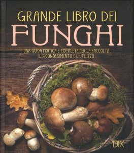 Grande Libro dei Funghi — Libro - 1