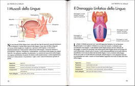 Grande Libro del Corpo Umano — Libro - 3