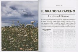 Grano Saraceno — Libro - 4