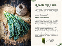Grazie al Cavolo...Nero! — Libro - 3