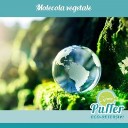 Green Puffer Essenza Bucato - Eco-Profumatore Concentrato Elimina Odori - 5