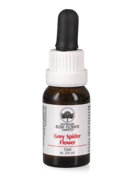 Grey Spider Flower - Essenza Floreale Australiana Singola - 1