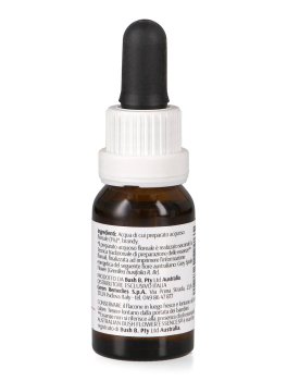 Grey Spider Flower - Essenza Floreale Australiana Singola - 2